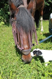 "Du bist soooo lieb!"